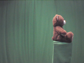 270 Degrees _ Picture 9 _ Brown and Green Teddy Bear.png